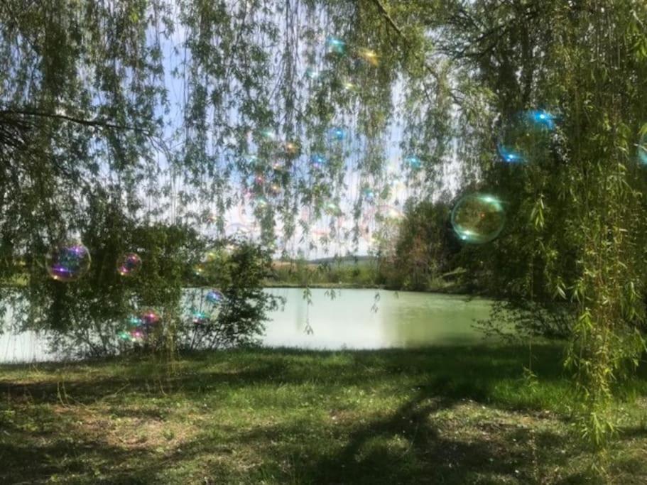 Chalet Au Milieu De La Foret Avec Lac A Proximite Layrac Екстер'єр фото
